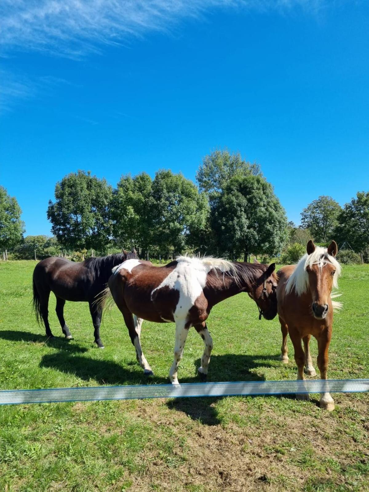 Chambres D'Hotes Sous Les Chenes Gondenans-Montby Exterior foto